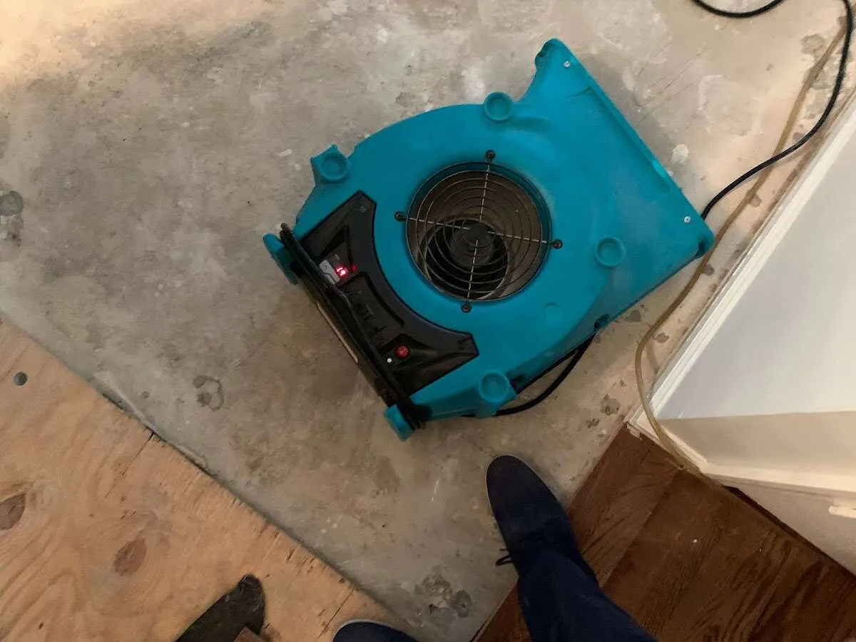 Air mover drying subfloor during Commercial Water Damage Restoration in Frenchtown